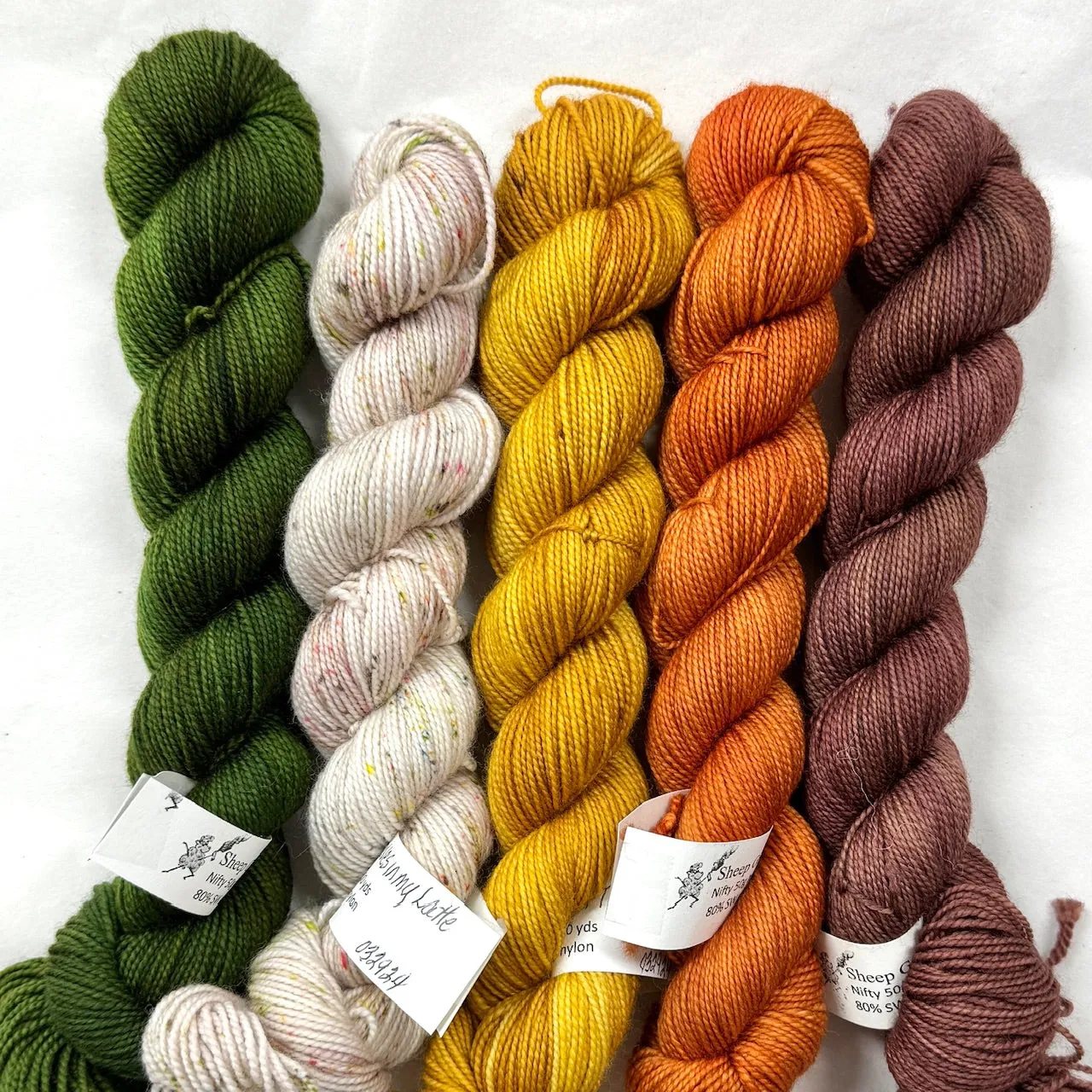 Branching Coral and Knickpoint Kits