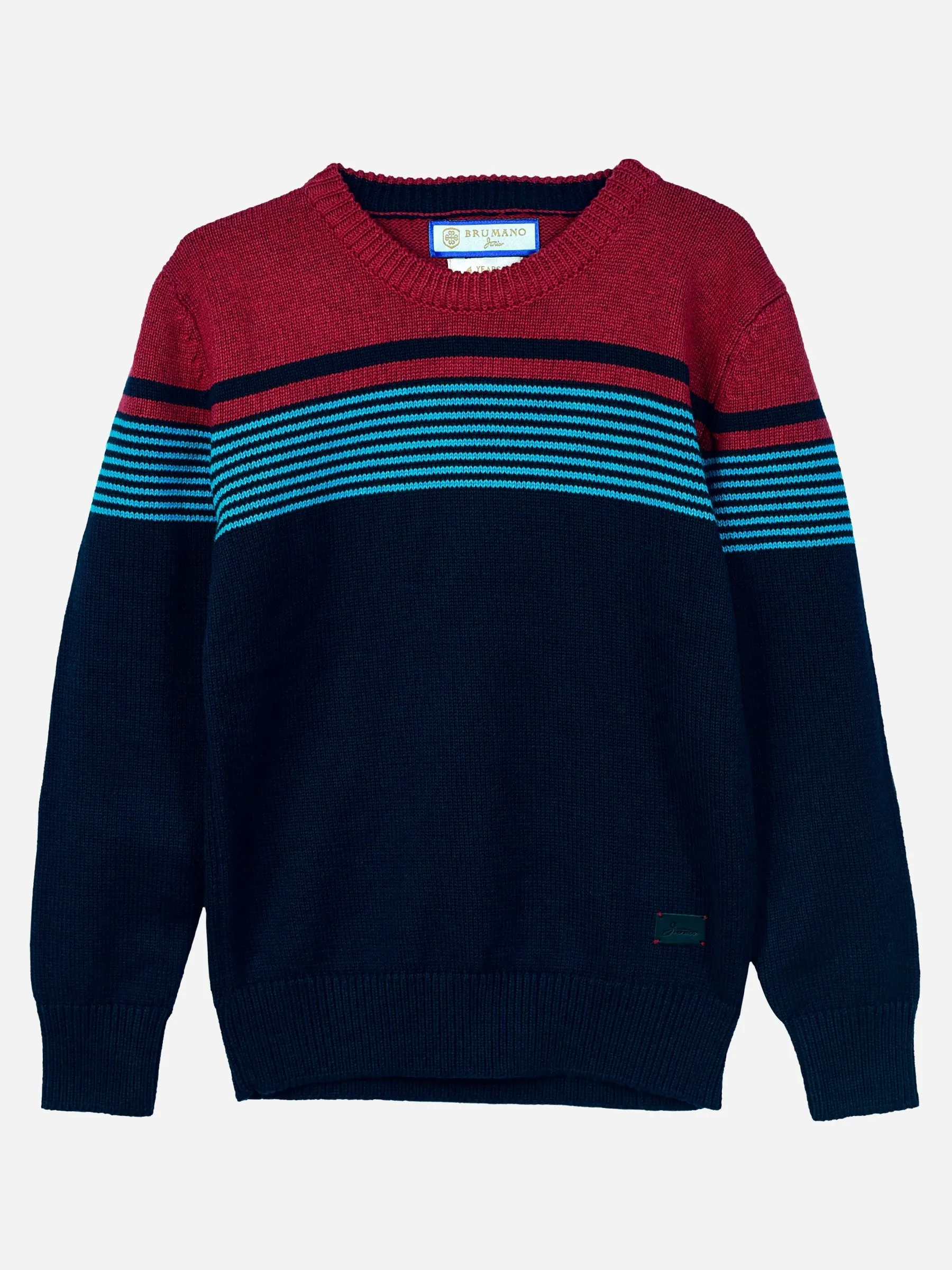 Navy Blue & Red Striped Casual Jumper