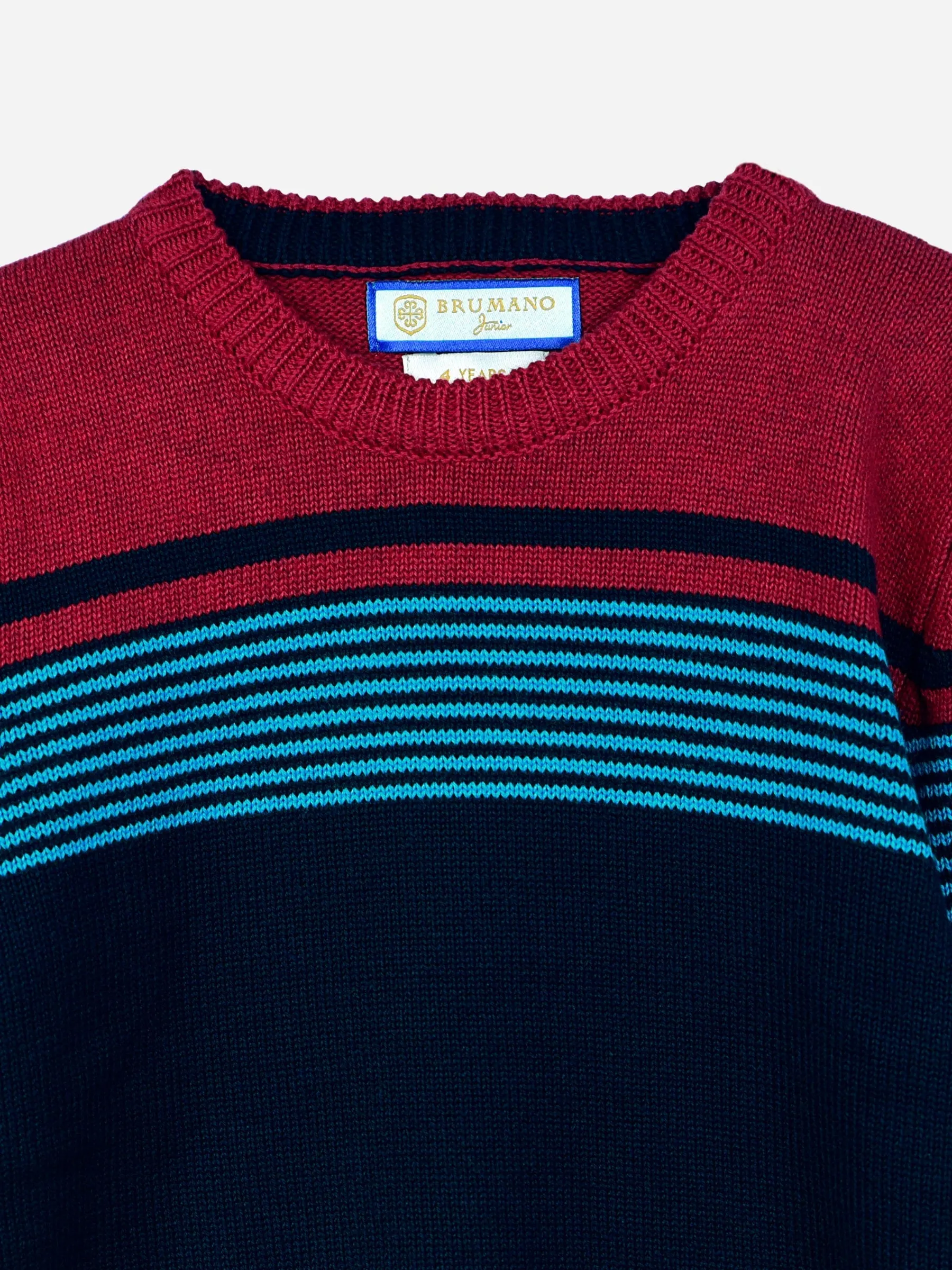 Navy Blue & Red Striped Casual Jumper