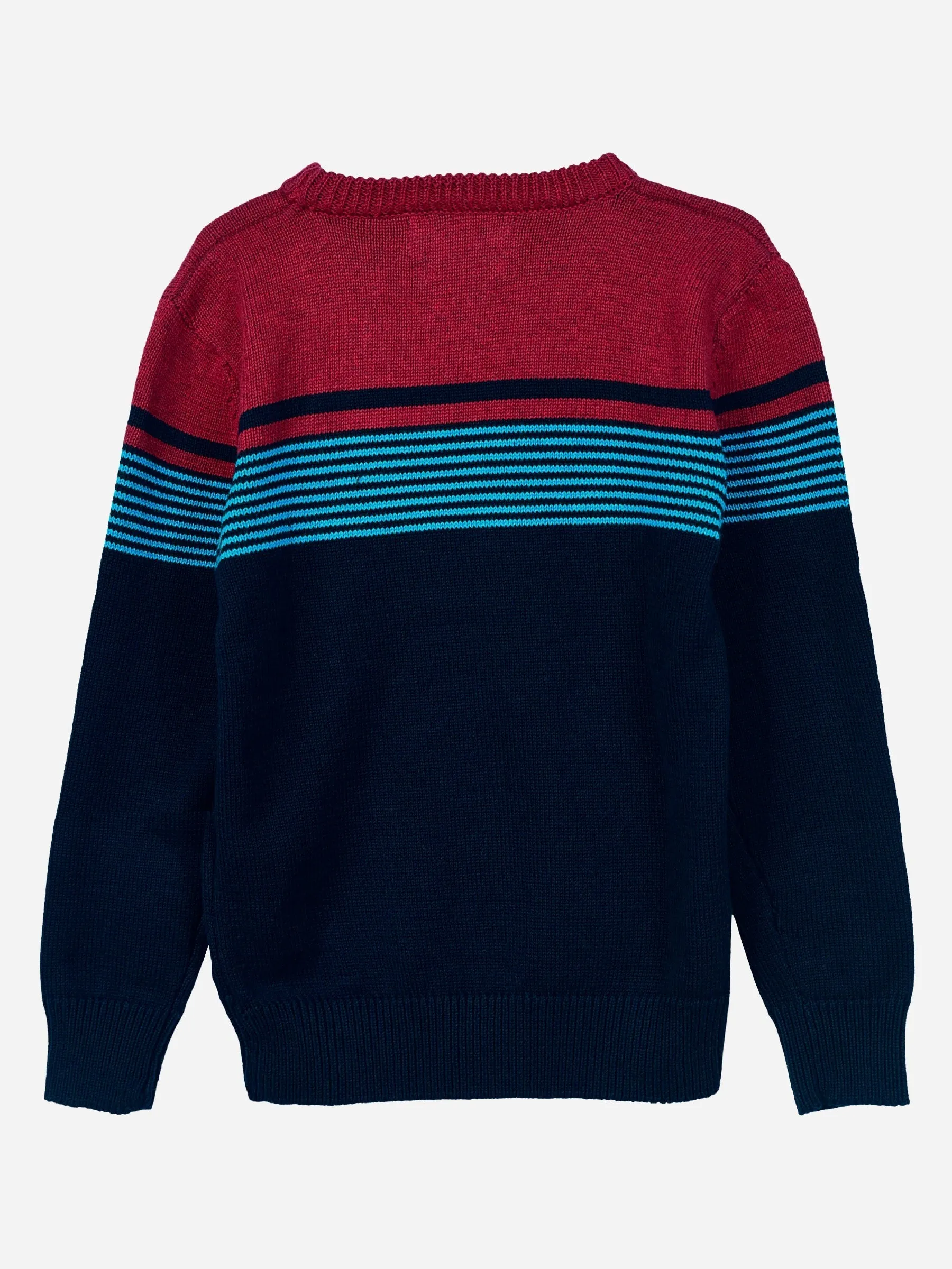 Navy Blue & Red Striped Casual Jumper